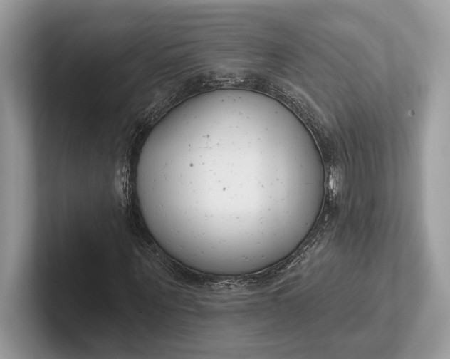 X0000101420867200807211126