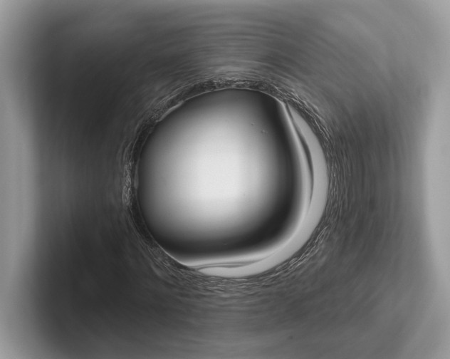 X0000101420868200807211126