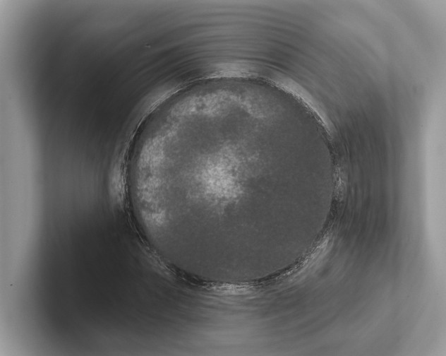 X0000101420874200807211126