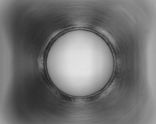 X0000101420875200807211126