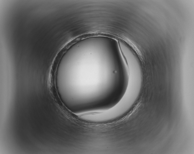 X0000101420876200807211126