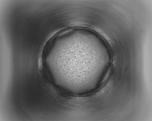 X0000101420877200807211126