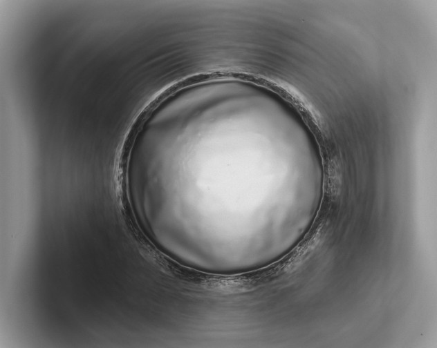 X0000101420879200807211126