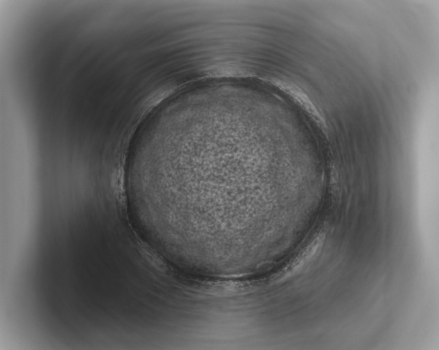 X0000101420881200807211126