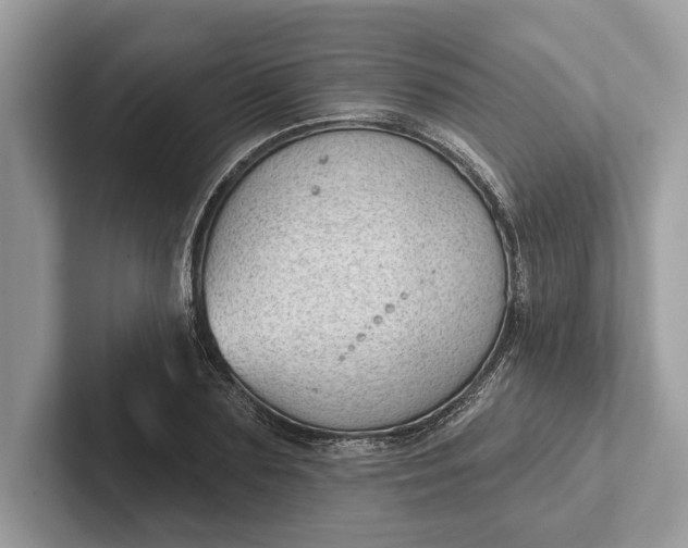 X0000101420883200807211126