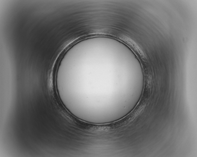 X0000101420884200807211126