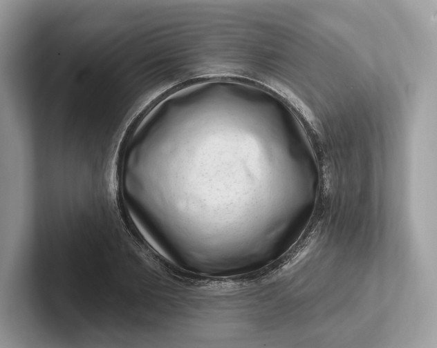 X0000101420885200807211126