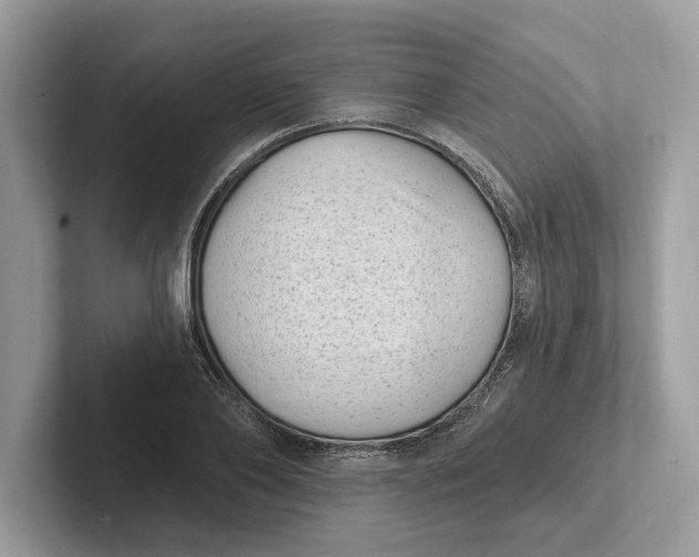 X0000101420886200807211126
