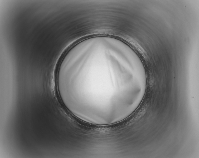 X0000101420888200807211126