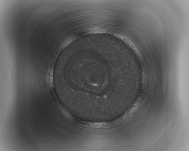 X0000101420889200807211126