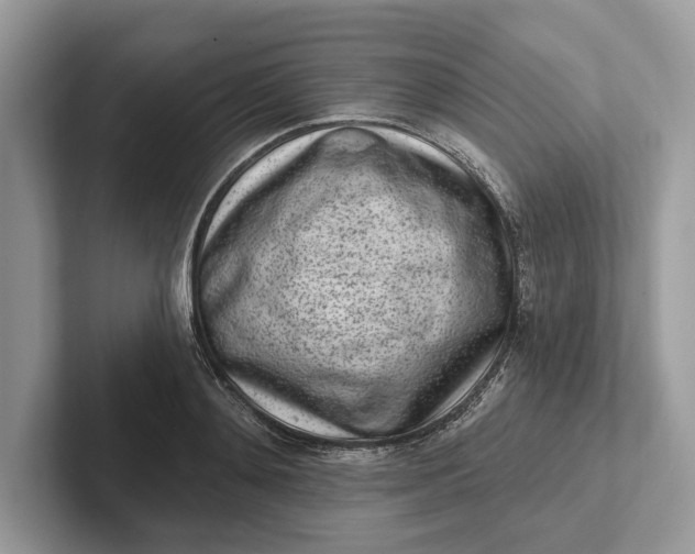X0000101420892200807211126
