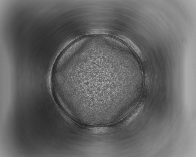 X0000101420893200807211126