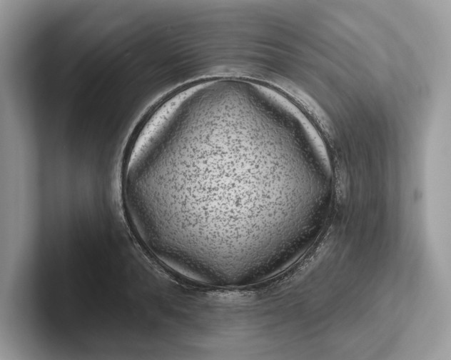 X0000101420896200807211126