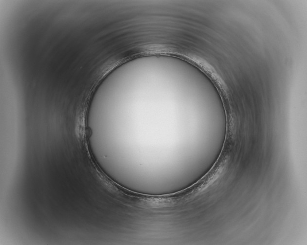 X0000101420897200807211126