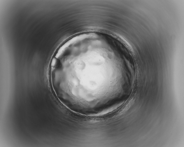 X0000101420899200807211126
