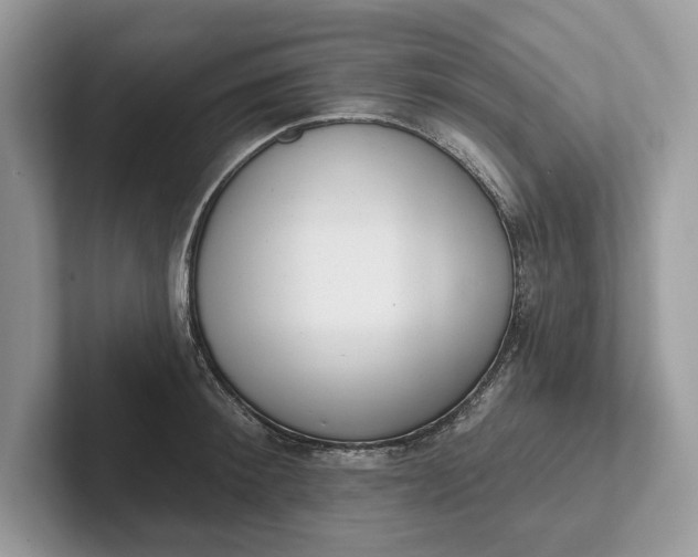 X0000101420900200807211126