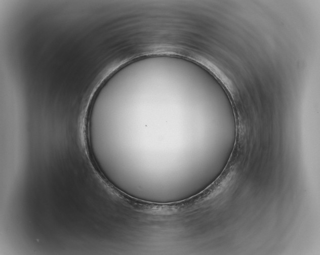 X0000101420901200807211126