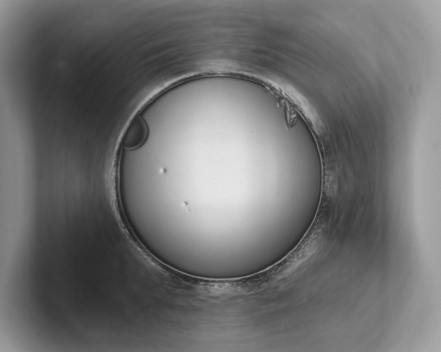 X0000101420903200807211126