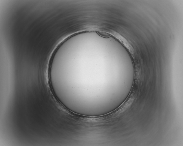 X0000101420904200807211126