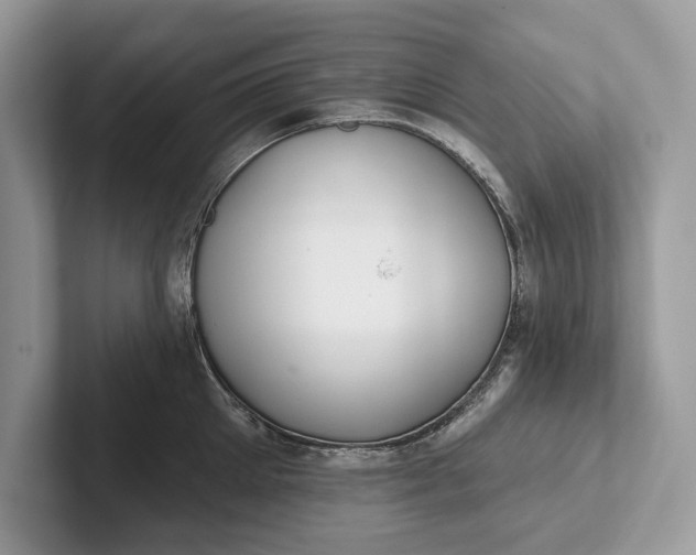 X0000101420905200807211126