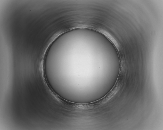 X0000101420906200807211126