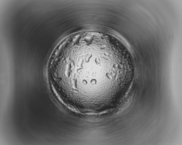 X0000101420907200807211126