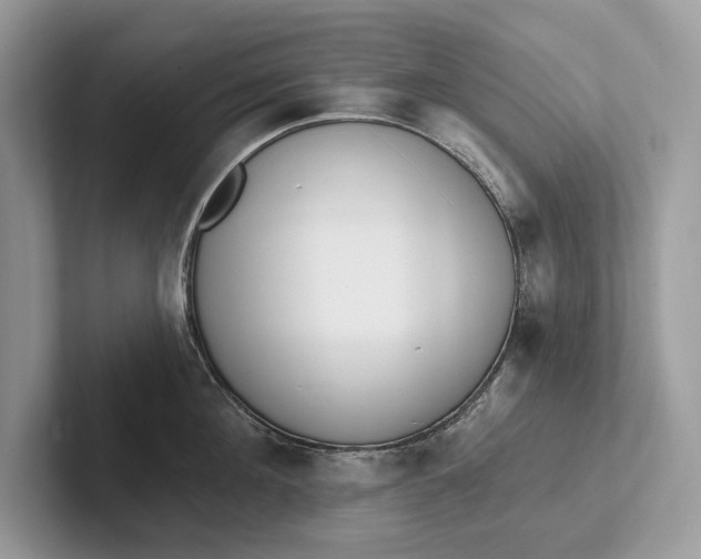 X0000101420908200807211126