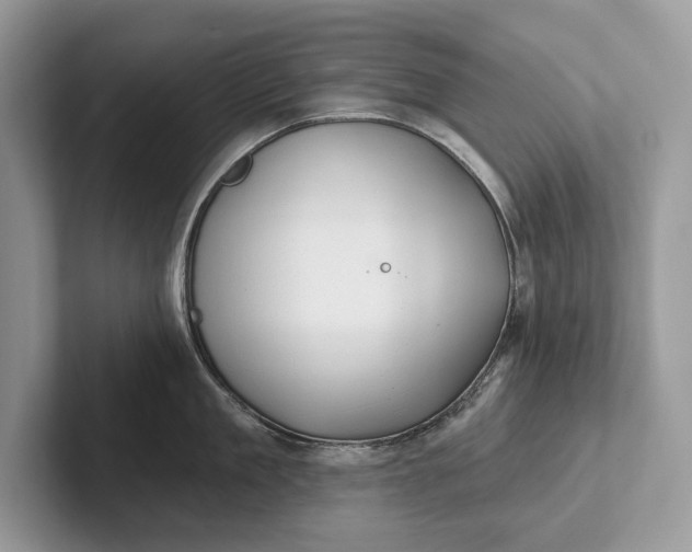 X0000101420909200807211126