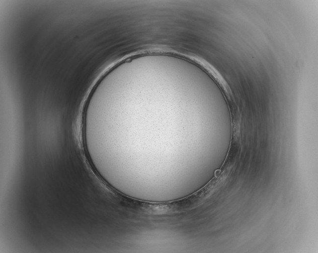X0000101420911200807211126