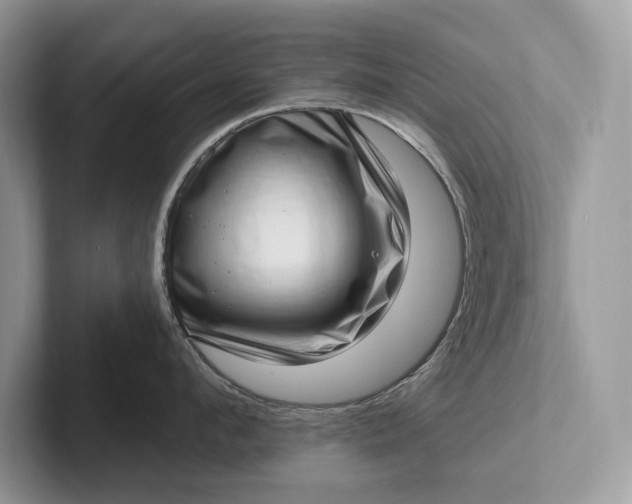 X0000101420912200807211126