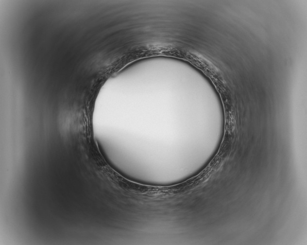 X0000101420917200807211125