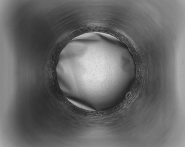 X0000101420919200807211125