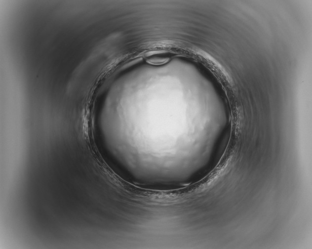 X0000101420921200807211125