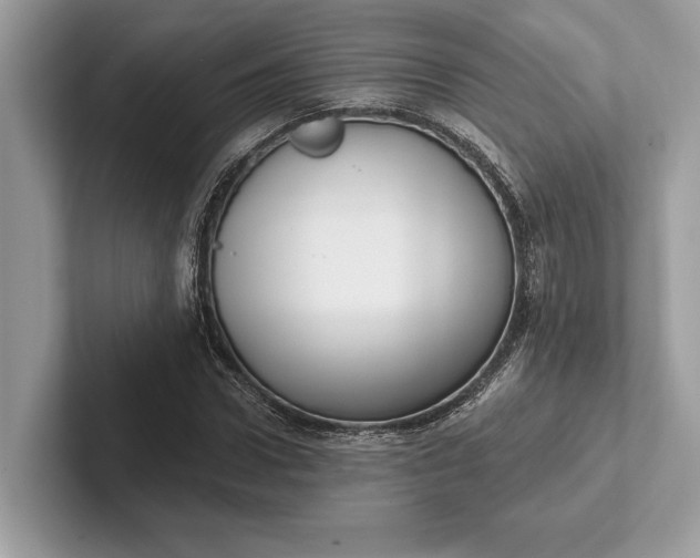 X0000101420922200807211125