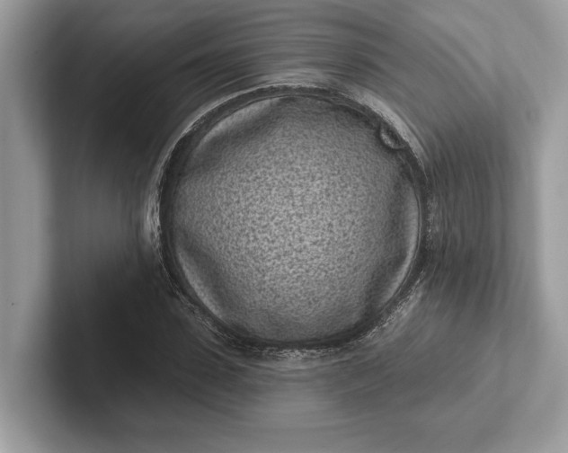 X0000101420923200807211125