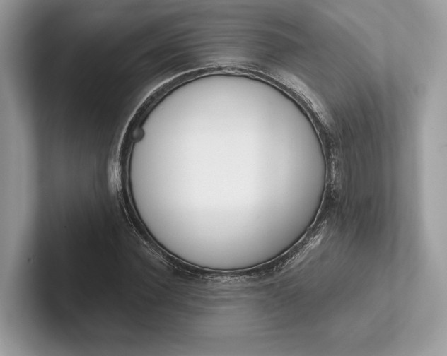 X0000101420924200807211125
