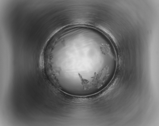 X0000101420925200807211125