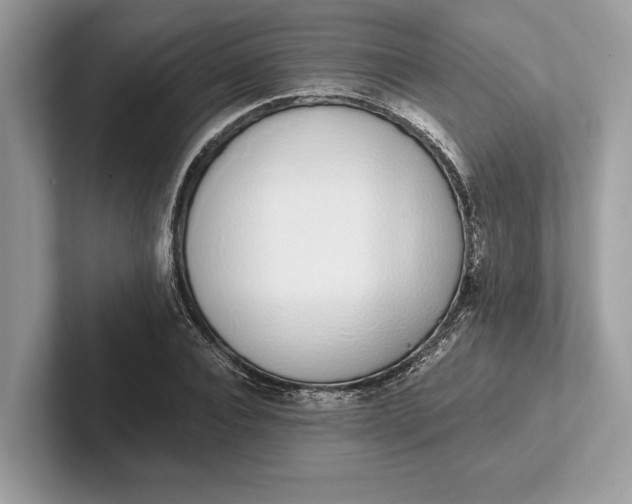 X0000101420928200807211125