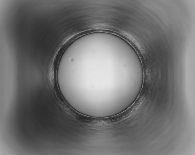 X0000101420931200807211125