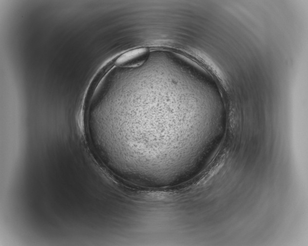 X0000101420932200807211125
