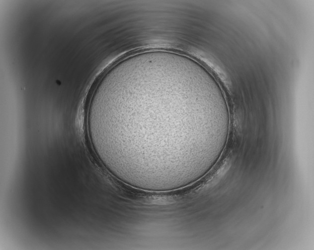 X0000101420933200807211125
