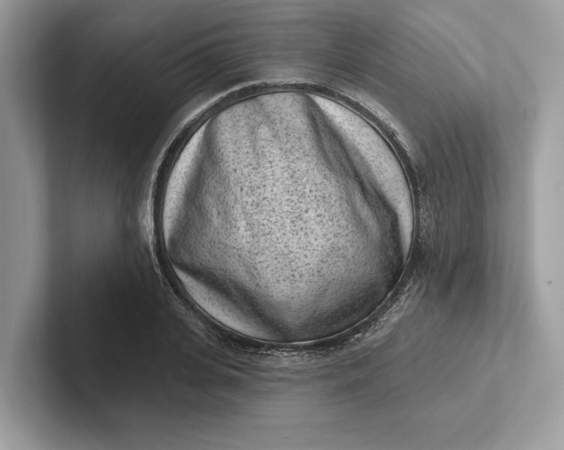 X0000101420935200807211126