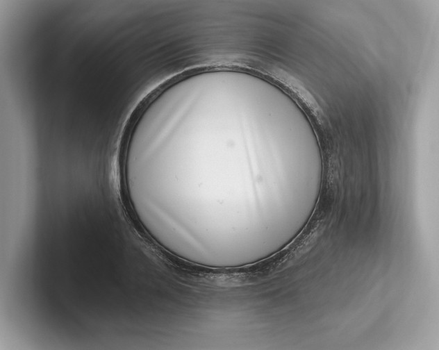X0000101420936200807211126