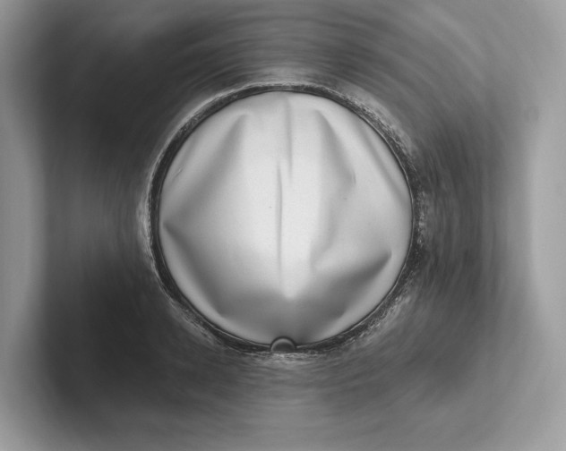 X0000101420942200807211126