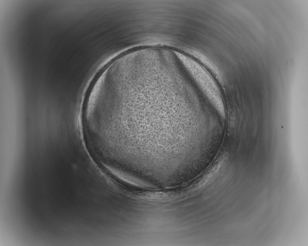 X0000101420943200807211126