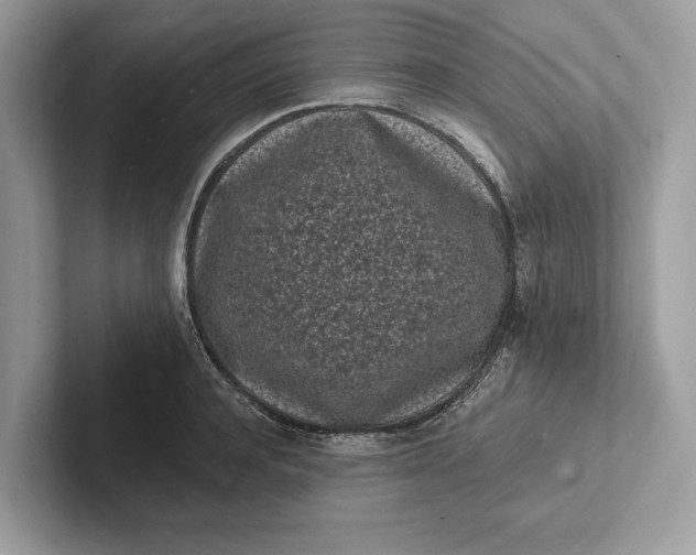 X0000101420944200807211126