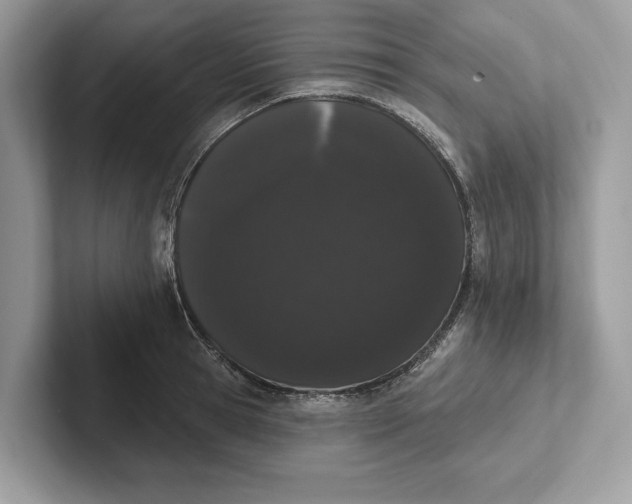 X0000101420945200807211126