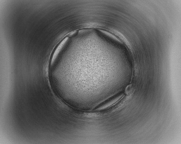 X0000101420946200807211126