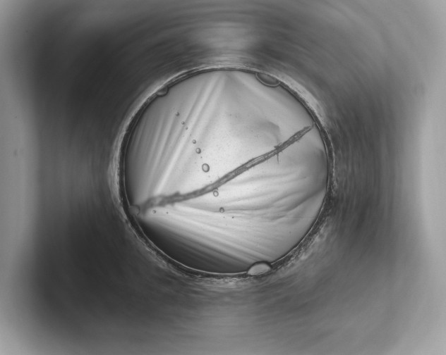 X0000101420949200807211126