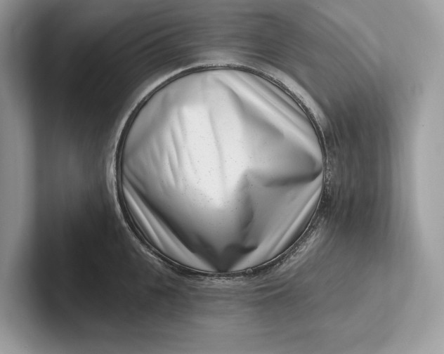X0000101420951200807211126